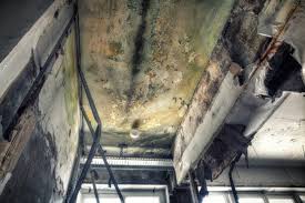 Best Mold Removal for HVAC Installations  in Sam Rayburn, TX